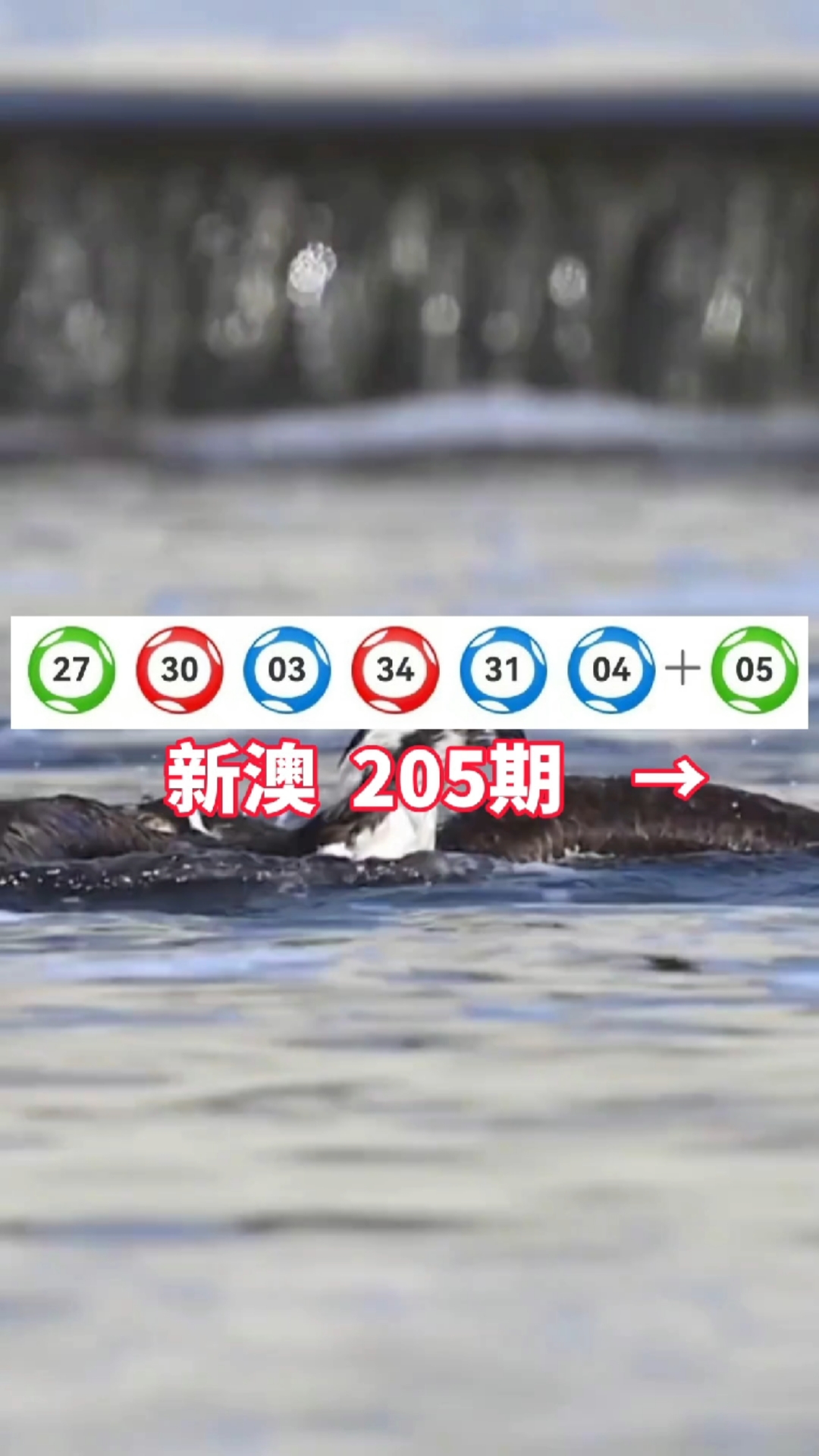 科普展现:新澳内幕消息直播（澳新官网）